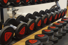 Weights