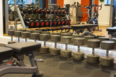Weights